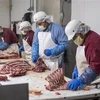 Xẻ thịt bò tại một công ty thực phẩm ở Rigby, Idaho, Mỹ, ngày 26/5/2020. (Ảnh: AFP/ TTXVN)