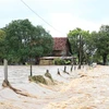 Nhiều nhà dân ở xã Cư Kbang, huyện Ea Súp bị ngập do mưa lũ. (Ảnh: Tuấn Anh/TTXVN)