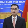 Thứ trưởng Ngoại giao Đặng Hoàng Giang trả lời phỏng vấn về những đóng góp và kỳ vọng của Việt Nam tại Diễn đàn Hợp tác kinh tế châu Á- Thái Bình Dương (APEC) năm 2021. (Ảnh: TTXVN)