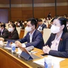 Đoàn đại biểu Quốc hội tỉnh Thái Nguyên dự phiên họp. (Ảnh: Doãn Tấn/TTXVN)
