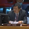 Đại sứ Đặng Đình Quý, Trưởng Phái đoàn đại diện Việt Nam tại LHQ phát biểu trong một phiên họp. (Ảnh: Hữu Thanh/TTXVN)