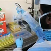 Kỹ thuật viên phân tích mẫu bệnh phẩm COVID-19 tại phòng thí nghiệm ở Glasgow, Anh. (Ảnh: AFP/TTXVN)