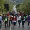 Người tị nạn Honduras di chuyển qua Camotan, Guatemala trong hành trình tới Mỹ ngày 16/1. (Ảnh: AFP/TTXVN)