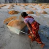 Một người lao động Ấn Độ đang vận chuyển gạo. (Nguồn: Reuters)