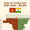 Quan hệ thương mại Việt Nam-Ấn Độ trong những năm qua