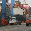 Hoạt động tại tân cảng Cát Lái. (Ảnh: Quang Châu/TTXVN)