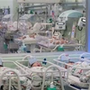 Trẻ sơ sinh được chăm sóc tại Khoa Sơ sinh - Bệnh viện Hùng Vương Thành phố Hồ Chí Minh. (Ảnh: Đinh Hằng/TTXVN)