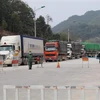 Xe nông sản chờ thông quan qua đường chuyên dụng vận tải hàng hóa cửa khẩu Tân Thanh-Pò Chài. (Ảnh: Quang Duy/TTXVN)