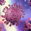 Hình ảnh mô phỏng virus SARS-CoV-2 gây bệnh COVID-19. (Ảnh: MedPage Today/TTXVN)