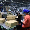 Công nhân lao động làm việc tại Công ty TNHH Deli Việt Nam, Khu công nghiệp Yên Phong, tỉnh Bắc Ninh. (Ảnh: Thanh Thương/TTXVN)