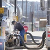 Xe tải chở dầu thô tới nhà máy lọc dầu ở Mỹ. (Ảnh: AFP/TTXVN)