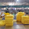 Sản xuất hàng xuất khẩu sang thị trường Nhật Bản tại Công ty Cổ phần dệt may Sơn Nam, Nam Định (ảnh tư liệu). (Ảnh: Trần Việt/TTXVN)