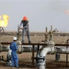 Công nhân làm việc tại một cơ sở khai thác dầu ở thị trấn Nasiriyah, Iraq. (Ảnh: AFP/TTXVN)