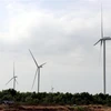 Nhà máy điện gió số 6 ở Sóc Trăng hoàn thành đi vào hoạt động. (Ảnh: Trung Hiếu/TTXVN)