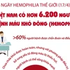 [Infographics] Việt Nam có hơn 6.200 người bị bệnh máu khó đông