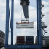 Hàng hóa xuất khẩu qua cảng Cát Lái, thành phố Thủ Đức (TP. Hồ Chí Minh). (Ảnh: Hồng Đạt/TTXVN)