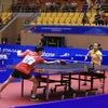 Trận chung kết đôi nữ giữa vận động viên số 44 Suthasini Sawettabut và VĐV số 45 Orawan Paranang (Thái Lan áo vàng) đối đầu vận động viên số 37 Zhou Jingyi và VĐV số 39 Zeng Jian (Singapore áo đỏ). (Ảnh: Quý Trung/TTXVN)