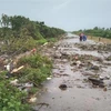 Triều cường dâng cao khiến nước tràn qua mặt đê biển Tây thuộc khu vực xã Khánh Bình Tây, huyện Trần Văn Thời vào chiều ngày 11/7. (Ảnh: TTXVN phát)