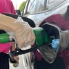 Bơm xăng cho phương tiện tại trạm xăng ở Seoul, Hàn Quốc ngày 10/6. (Ảnh: THX/ TTXVN)