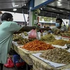 Người dân mua hàng tại một khu chợ ở Colombo, Sri Lanka. (Ảnh: AFP/TTXVN)