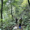Các chuyên gia Tổ chức FFI tại Việt Nam đi khảo sát thực tế ở khu rừng Khau Ca thuộc Vườn Quốc gia Du Già - Cao nguyên đá Đồng Văn. (Ảnh: Minh Tâm/TTXVN)