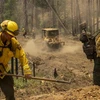 Nhân viên cứu hỏa nỗ lực khống chế các đám cháy rừng tại Mariposa, California, Mỹ, ngày 25/7. (Ảnh: AFP/TTXVN)