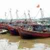 Các tàu neo đậu quanh khu vực cảng cá Tân Sơn (huyện Thái Thụy) để tránh trú bão số 2. (Ảnh: Thế Duyệt/TTXVN)