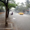 Tại thành phố Thái Bình, mưa lớn khiến nhiều tuyến phố chính bị ngập nặng. (Ảnh: Nguyễn Công Hải/TTXVN)