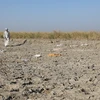 Đầm lầy Mesopotamian khô hạn. (Nguồn: globaltimes.cn)