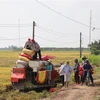 Thu hoạch lúa tại Tiền Giang. (Ảnh: Hữu Chí/TTXVN)