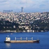 Tàu chở ngũ cốc của Ukraine đi qua Eo biển Bosphorus ở Istanbul, Thổ Nhĩ Kỳ, ngày 7/8. (Ảnh: THX/ TTXVN)