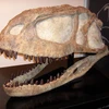 (Nguồn: paleontology.fandom.com)