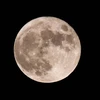 Mặt trăng trên bầu trời nhìn từ Washington, DC, Mỹ, ngày 24/6/2021. (Ảnh: AFP/ TTXVN)