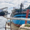 Ngư dân thành phố Tuy Hòa (tỉnh Phú Yên) đưa tàu thuyền vào bờ để tránh bão Noru. (Ảnh: Tường Quân/TTXVN)