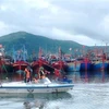 Bộ đội Biên phòng Quảng Bình tuyên truyền, hướng dẫn ngư dân neo đậu, chằng chống tàu đảm bảo an toàn tại khu vực tránh trú. (Ảnh: TTXVN phát)