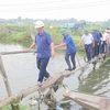 Bộ trưởng Lê Minh Hoan kiểm tra tại khu nuôi trồng thủy sản xã Quảng Công, huyện Quảng Điền, Thừa Thiên-Huế. (Ảnh: Tường Vi - TTXVN)