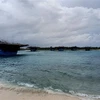 Các tàu cá neo đậu tránh trú bão trong âu tàu đảo Sinh Tồn. (Ảnh: TTXVN phát)