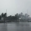 Gió giật mạnh liên hồi kèm theo mưa lớn khu vực ven biển Mỹ Khê. (Ảnh: Văn Dũng/TTXVN)