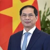 Bộ trưởng Ngoại giao Bùi Thanh Sơn. (Ảnh: TTXVN/phát)