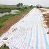 Đê tả sông Mã bị sụt lún gần 1km, điểm sụt lún sâu nhất tới 1,3m. (Ảnh: TTXVN)
