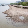 Mực nước sông Dương Tử đoạn chảy qua Nam Kinh, tỉnh Giang Tô, Trung Quốc khô nứt nẻ do hạn hán kéo dài, ngày 23/8/2022. (Ảnh: AFP/TTXVN)