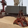 Tàu chở lúa mì của Ukraine cập cảng của Djibouti ngày 30/8/2022. (Ảnh: AFP/TTXVN)