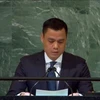 Đại sứ, Trưởng phái đoàn Việt Nam tại Liên hợp quốc Đặng Hoàng Giang phát biểu tại phiên họp. (Ảnh: TTXVN phát)