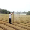 Anh Nguyễn Văn Linh sử dụng hệ thống tưới nước tự động để chăm sóc cây trồng. (Ảnh: Đinh Văn Nhiều/TTXVN)
