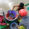 Người dân vùng đầu nguồn của tỉnh Đồng Tháp tranh thủ bắt cá trong những ngày cá từ đồng ruộng bơi ra các nhánh sông. (Ảnh: Nhựt An/TTXVN)