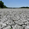 Lòng sông khô cạn do hạn hán tại Occhiobello, Italy, ngày 5/7/2022. (Ảnh: AFP/TTXVN)