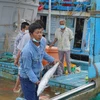 Vận chuyển cá lên bờ vào sáng 25 Tết tại cảng Bến Đá, thành phố Vũng Tàu. (Ảnh: Hoàng Nhị/TTXVN)