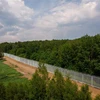 Hàng rào biên giới Ba Lan- Belarus gần làng Tolcze, đông bắc Ba Lan, ngày 8/6/2022. (Ảnh: AFP/TTXVN)