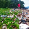 Ô nhiễm rác thải nhựa tại Manado, Indonesia. (Nguồn: Tuewas Asia)