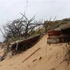 Sóng biển dâng cao, triều cường gây sạt lở bờ biển phường 7, thành phố Tuy Hòa, Phú Yên. (Ảnh minh họa: Phạm Cường/TTXVN)